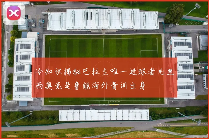 冷知识揭秘巴拉圭唯一进球者毛里西奥竟是鲁能海外青训出身
