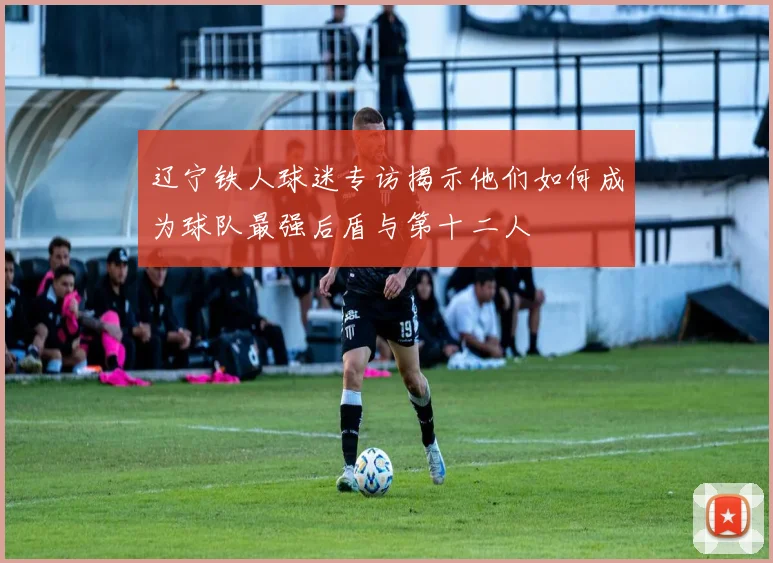 辽宁铁人球迷专访揭示他们如何成为球队最强后盾与第十二人